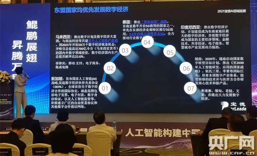 依托人工智能，發(fā)展廣西數(shù)字經(jīng)濟(jì)產(chǎn)業(yè)——聚焦人工智能應(yīng)用軟件開發(fā)